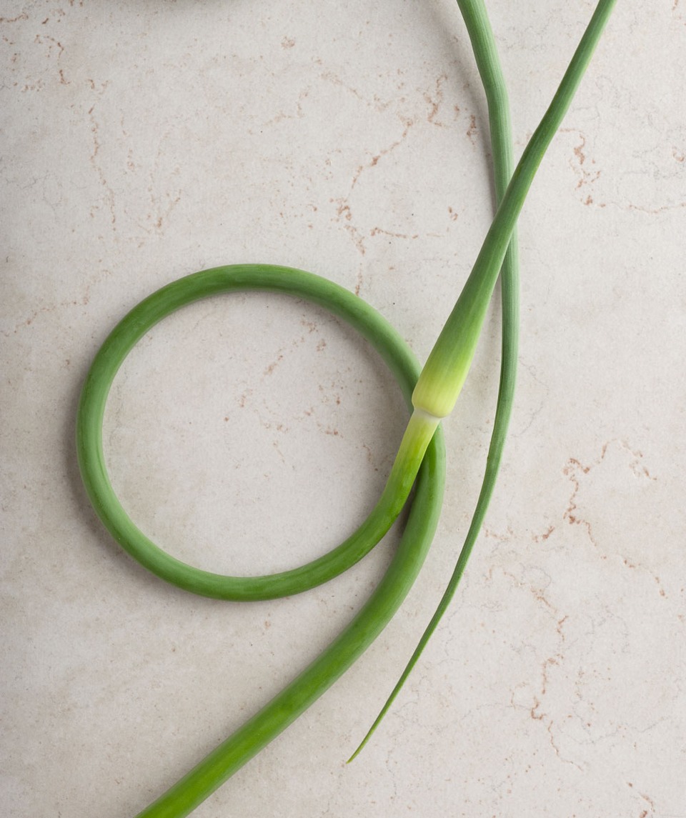 13 Things That Garlic Helps 