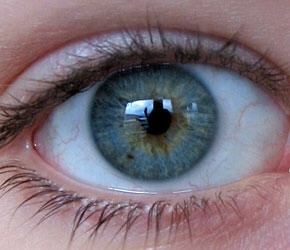 When you are done your eye should feel a lot better. No more pain, itchiness, or eye crust! Use when you wake up and before you go to sleep for better results. 
