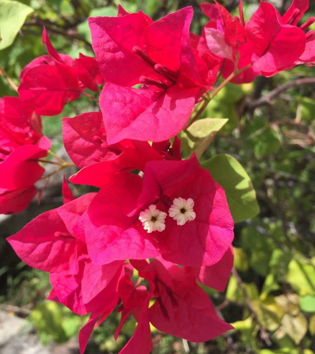 user-87-8300's story