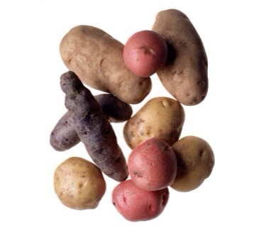 Potatoes
Refrigeration adversely affects their flavor, so store in the pantry in paper bags (plastic bags trap moisture and speed decay). Most varieties should last three weeks.
