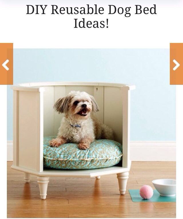 🌟 Creative Dog Bed Ideas You And Furry Friend Wld Love! 🌟