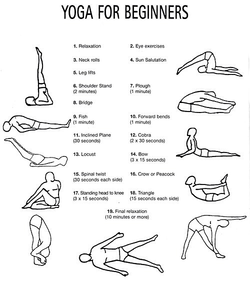 Beginners Yoga/Stretch Poses