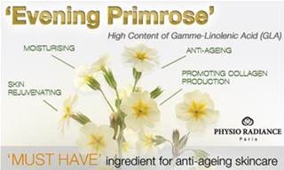 Newest Find -> Evening Primrose Oil -> Benefits & Uses, Helps Weight Loss + Reduces Wrinkles 