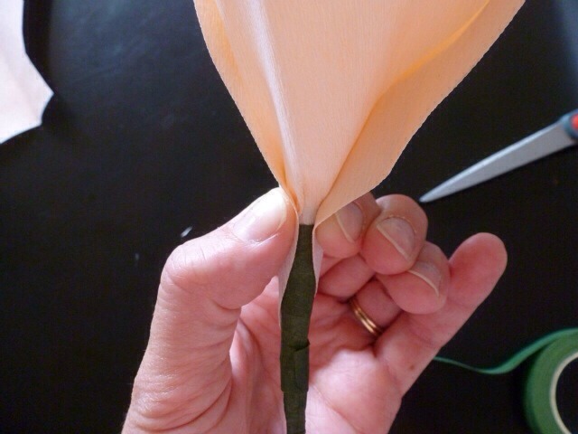 Crepe Paper Flowers:) 