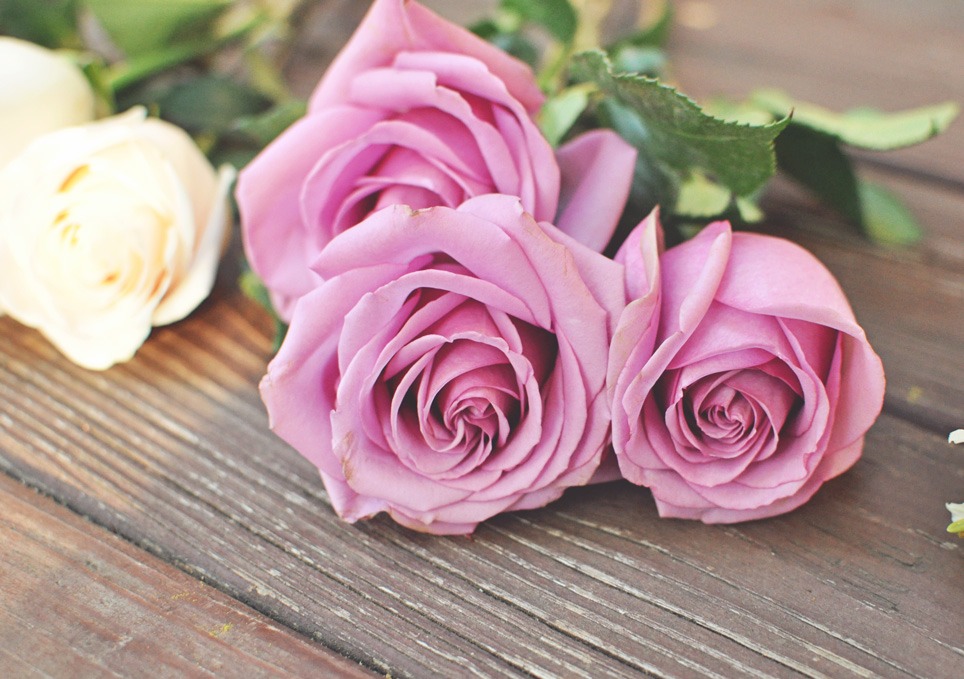 Do you like fresh flowers? To keep them alive longer put 3 drops of vodka and a teaspoon of sugar. It clears up bacteria that kills flowers. 💐
