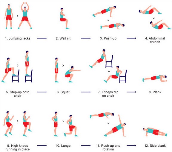 Full Body Work Out 