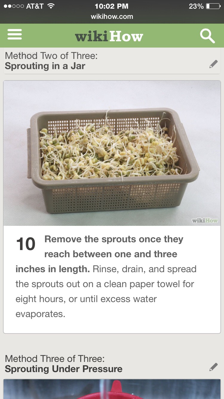 Grow Your Own Mung Sprouts- Super Easy, Super Fast, And Super Healthy! 
