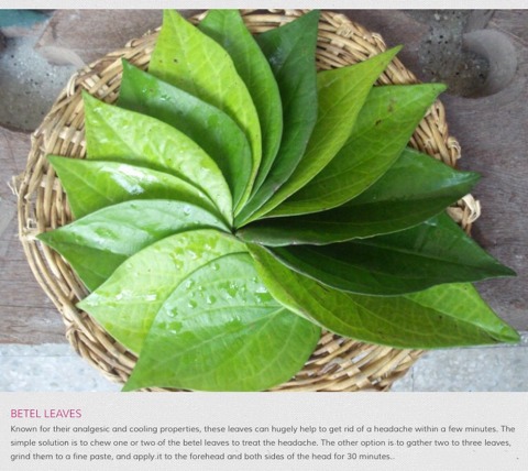 10 Natural Ways To Get Rid Of A Headache.