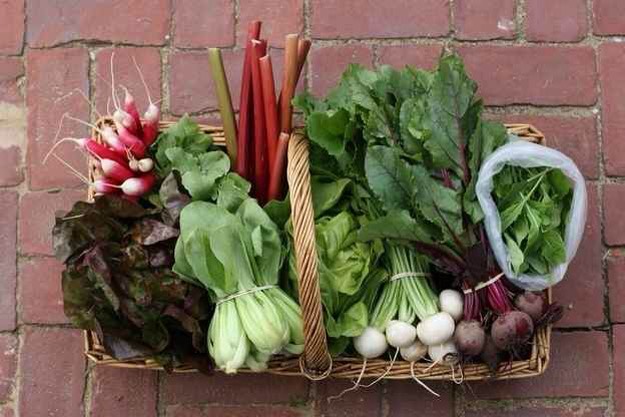 13. Join a CSA.
