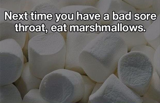 Useful Life Hacks 