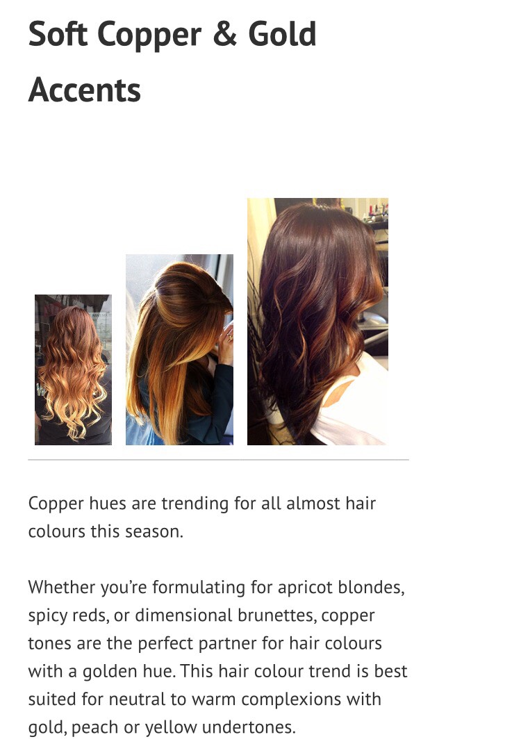 Fall Hair Colors!!!💆🏻💇🏻#tipit