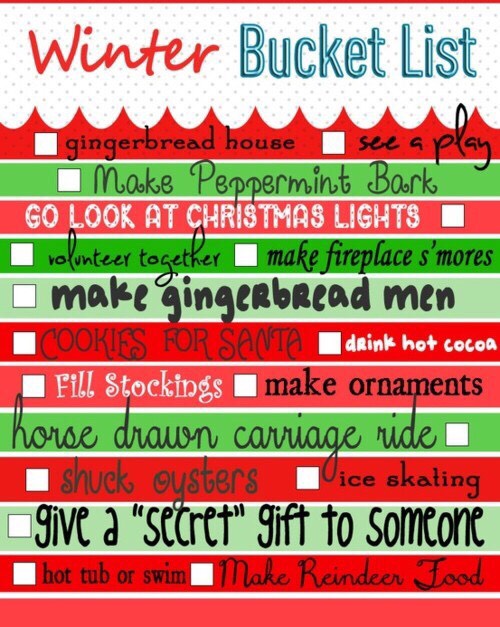 WINTER BUCKET LIST|2015-16