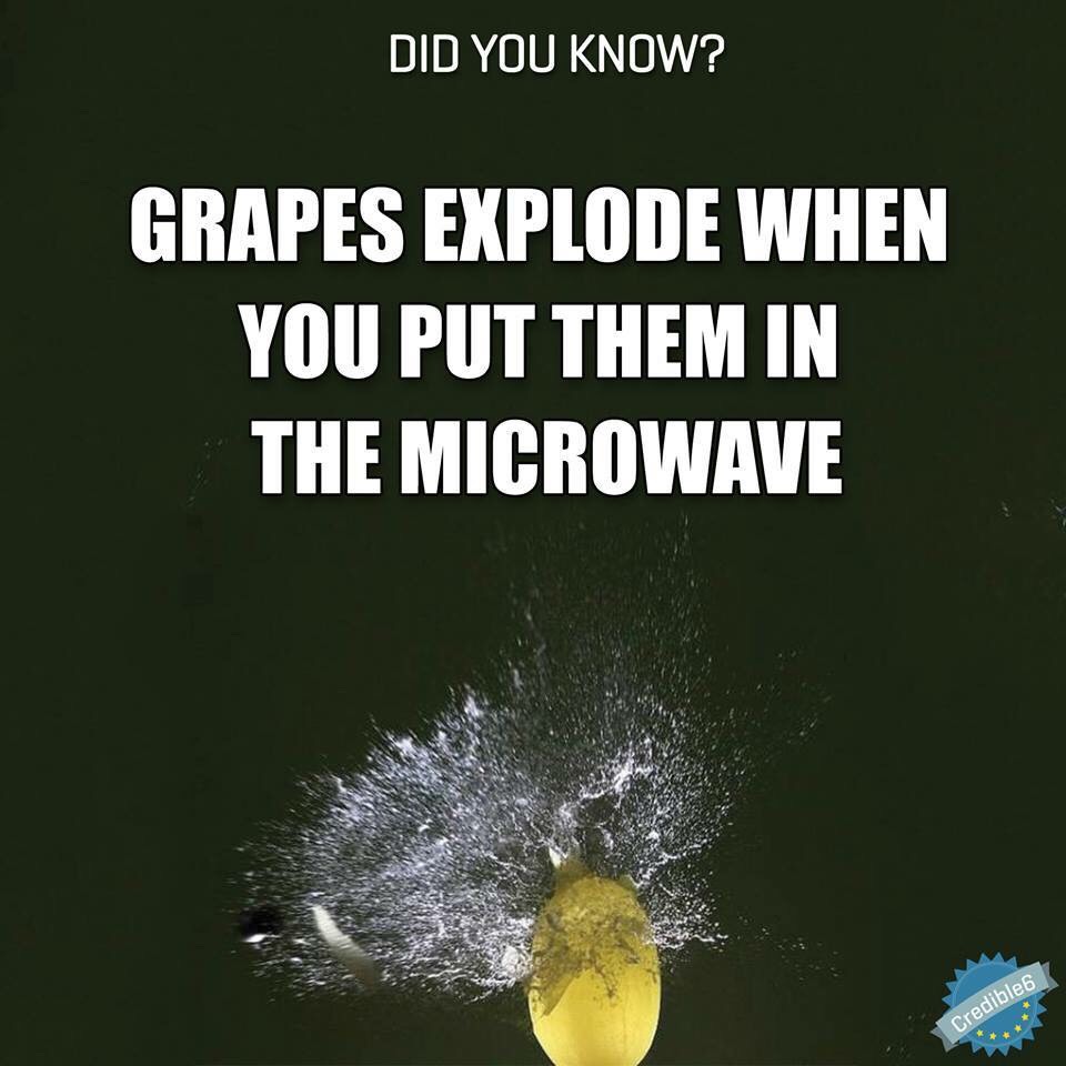 Fun Food Facts. 😊