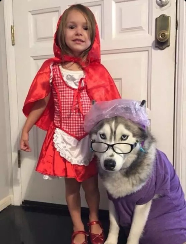 Cute And Cool  Halloween Makeup And Costumes For Everyone Even Pets