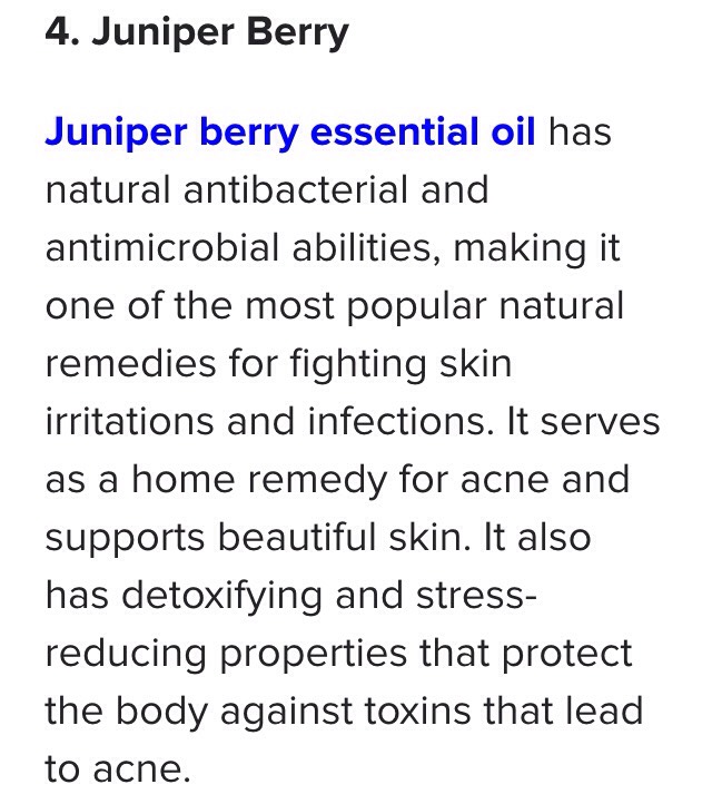 Top 4 Essential Oils for Acne🍯