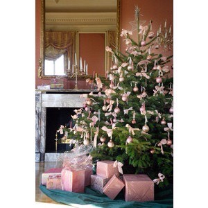 Different Colour Schemes For Christmas Trees 🎄🎄🎄