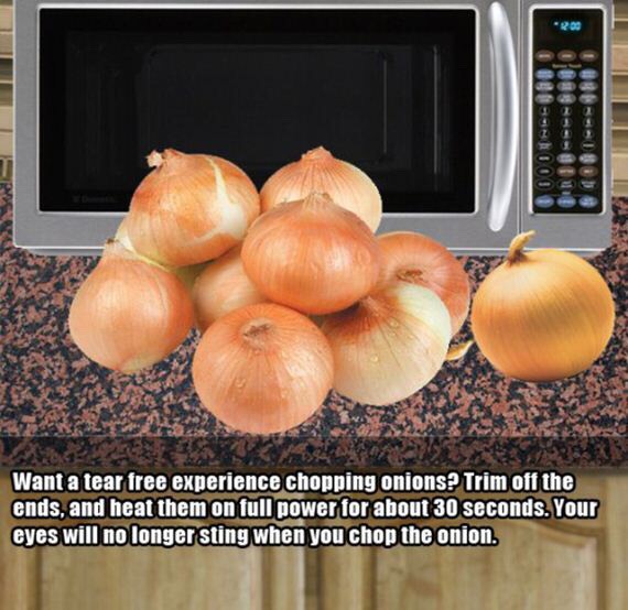 Fun Food Facts. 😊