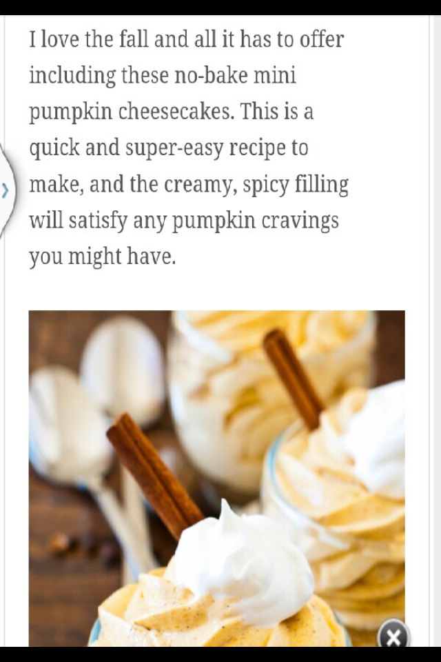 No Bake Pumpkin Cheesecake 😍
