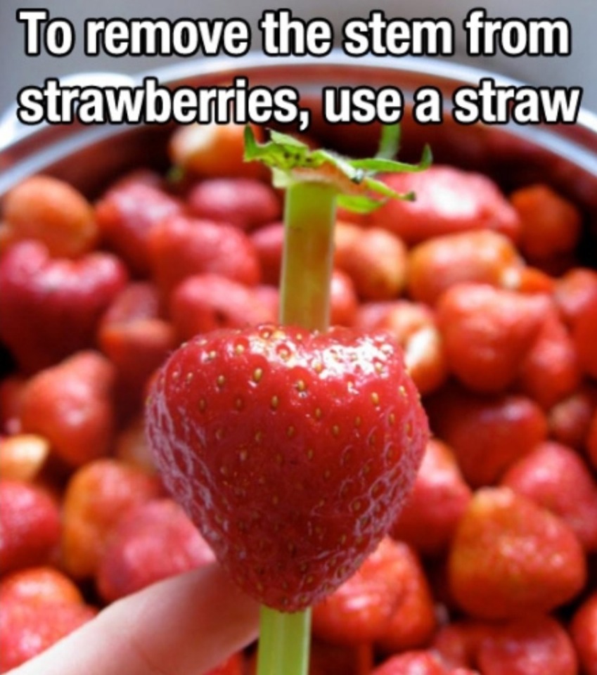 A Bucket-Load Of Life Hacks That Will Change Your Life Forever!