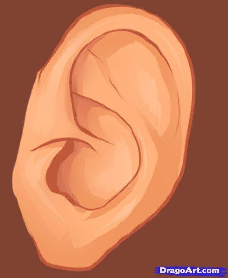8) After eating too much, your hearing is less sharp. If you’re heading to a concert or a musical after a big meal you may be doing yourself a disservice. Try eating a smaller meal if you need to keep your hearing pitch perfect.