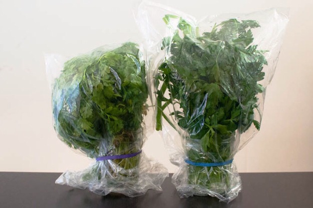 Store delicate herbs like flowers, then cover with plastic, secure with a rubberband, and refrigerate.
This is the best way to keep delicate herbs like parsley, basil, cilantro, and chives fresh the longest.