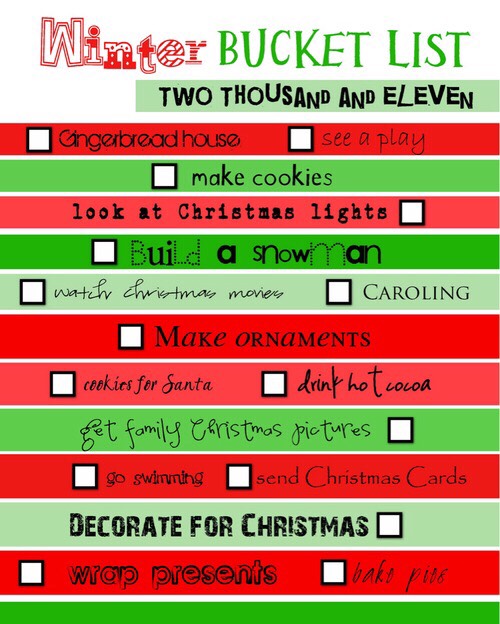 WINTER BUCKET LIST|2015-16