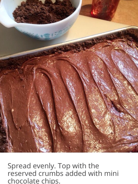 Midnight Chocolate Raspberry Cream Cheese Bars