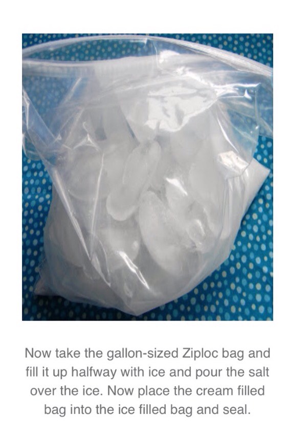 Make Ice cream In A Baggie Here 👍🏽🍦🍨