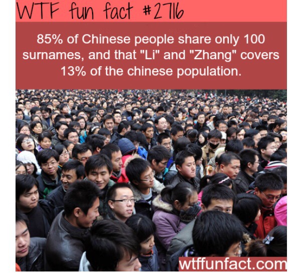 Fun Crazy Facts