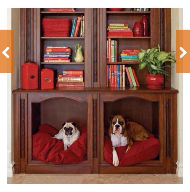 🌟 Creative Dog Bed Ideas You And Furry Friend Wld Love! 🌟