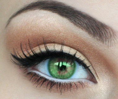 Green eyes🍀
People with green eyes are curious about nature, very passionate in their relationships with other people and have an overall positive and creative outlook on life. These people tend to get jealous easily, but possess large amounts of love.
