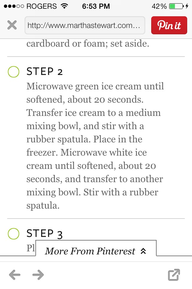 Mint Chocolate Chip Icecream Cake