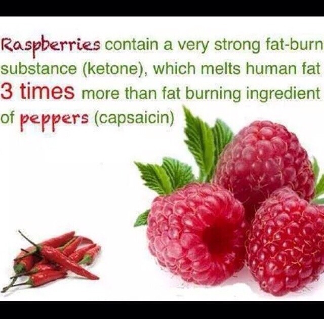 Fat Burning Foods And Other Healthy Tips 