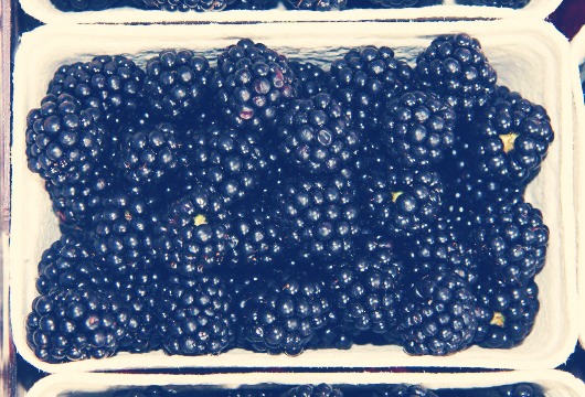 Blackberries 