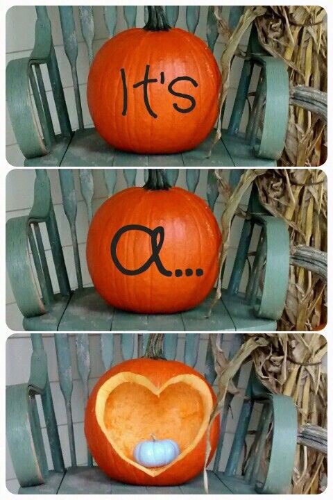 Gender Reveal Ideas For The Fall