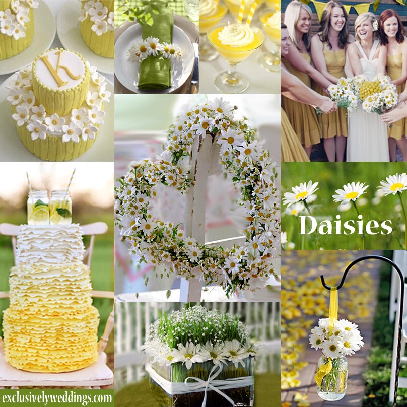Wedding Themes 