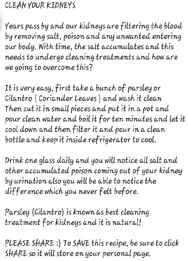 Clean YOUR Kidneys Smoothie!