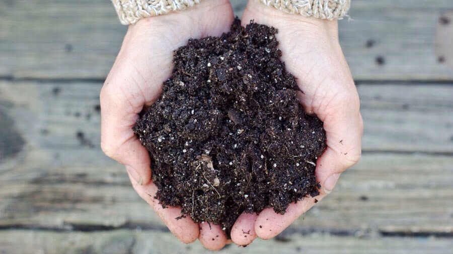 Discover the joy of composting
Finally, if you have left it too late and your food really is too old and grotty to eat, all is not lost. Put it in a composter. If you grow your own fruit and vegetables you can think of this as food recycling, rather than food waste: the composter will turn your old 
