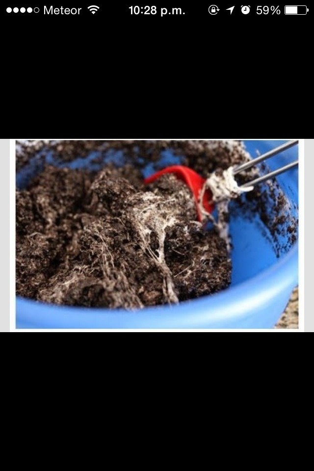 Mix around (it will get very sticky)