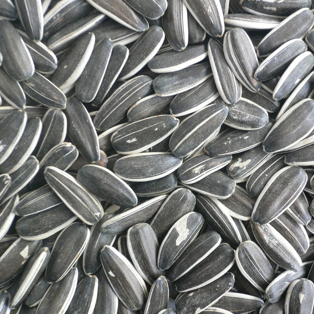 Sunflower seeds