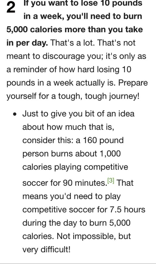 A Guide For Losing Weight FAST
