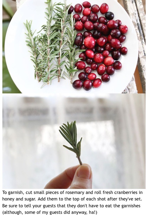 Cranberry Jello Shots