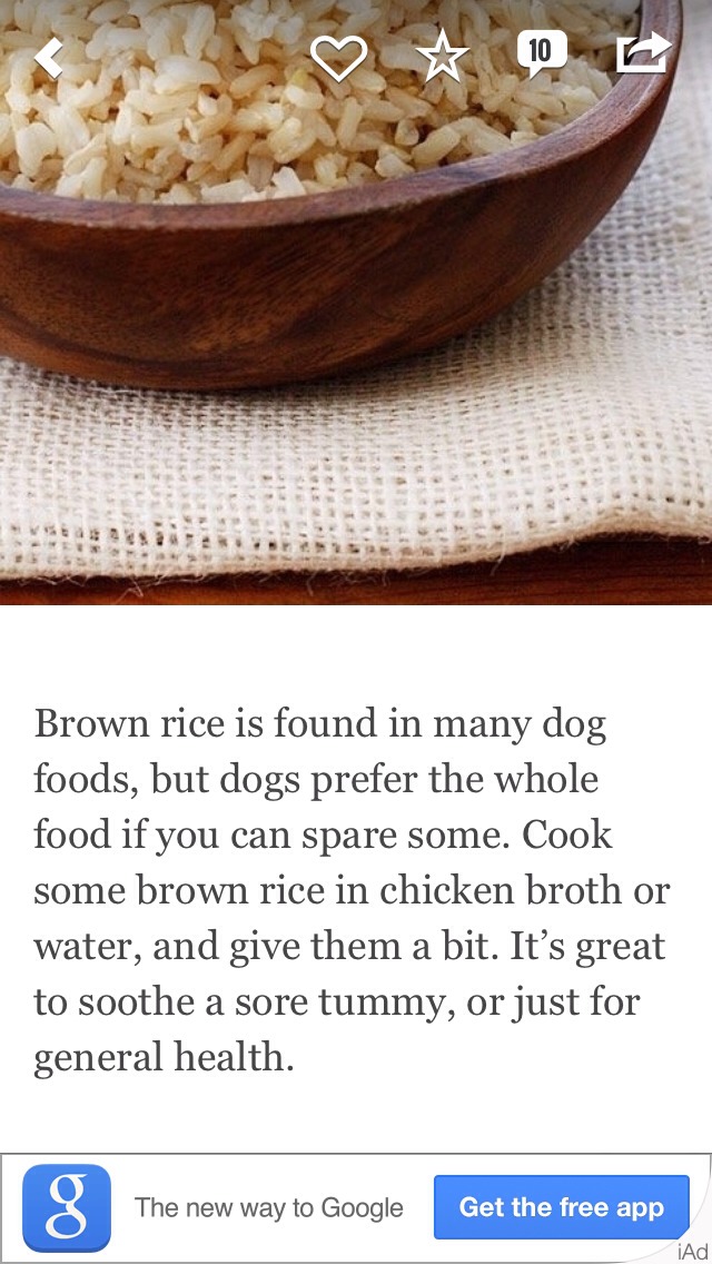 7 Puppy Friendly & Healthy Foods