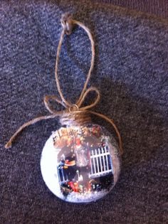 Photo Ornament Idea Using Clear Bulb 🎄