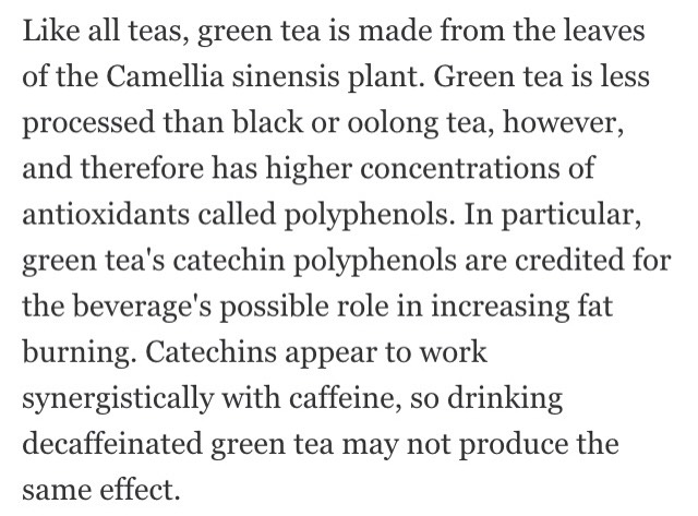 Green Tea ➡️ No Belly Fat?