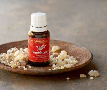 Frankincense Essential Oil is another oil It has been proven to kill abnormal cells and promote regeneration of healthy cells. Its also an astringent, keeping the skin tight, and is a powerful anti-aging oil! It also helps heal scars, bruises, scrapes, and stretch marks.