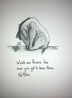 Tattoo Designs 