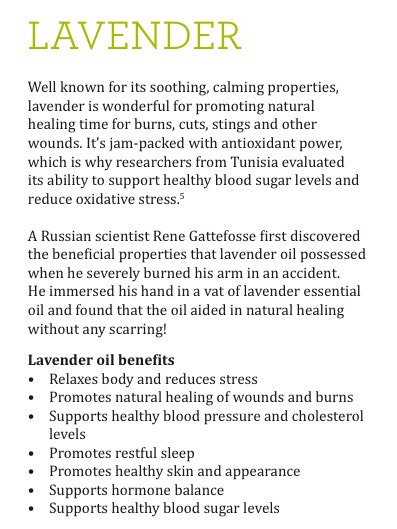 The 7 Most Powerful Essential Oils To Have In Your Home.
