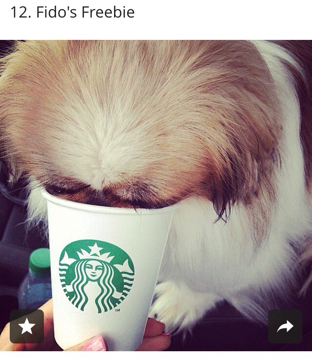 14 MONEY-SAVING STARBUCKS HACKS!