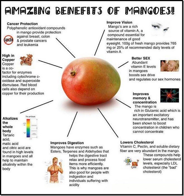 Mango Benefit For Health & Skin 😱👍💯